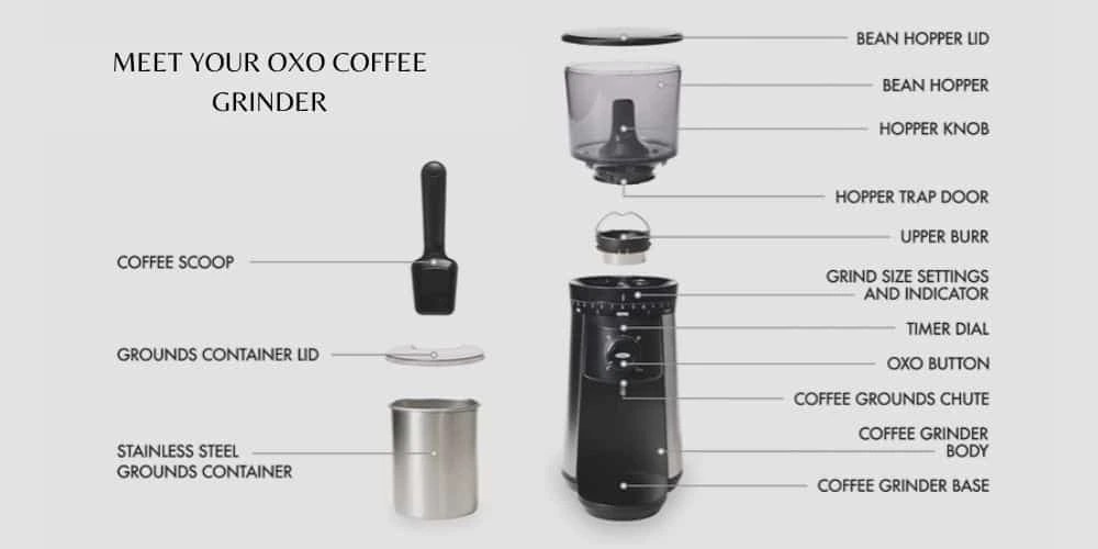 How to Use OXO Coffee Grinder A Clear Guide EspressoRivo