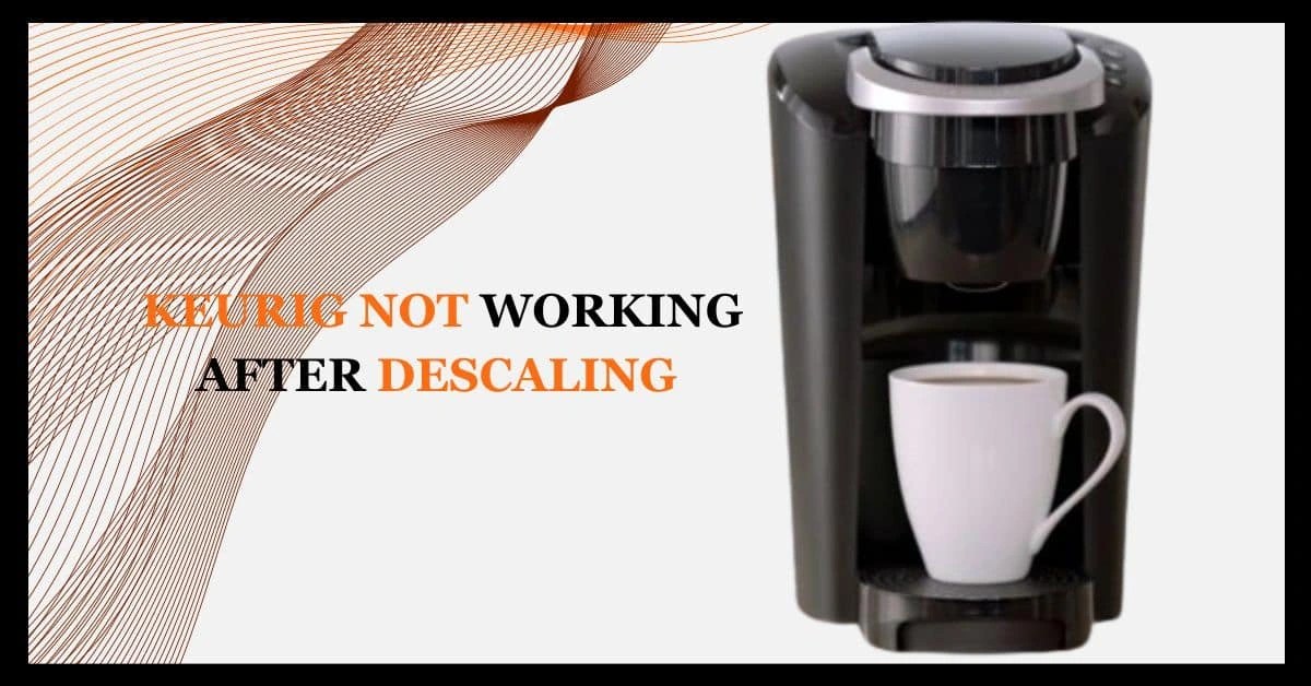 Keurig Not Working After Descaling Troubleshoot Now! EspressoRivo