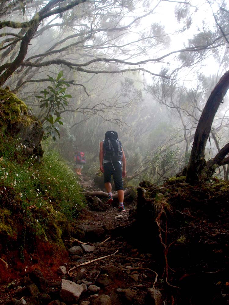 Le Piton des Neiges Esprit Randonnée