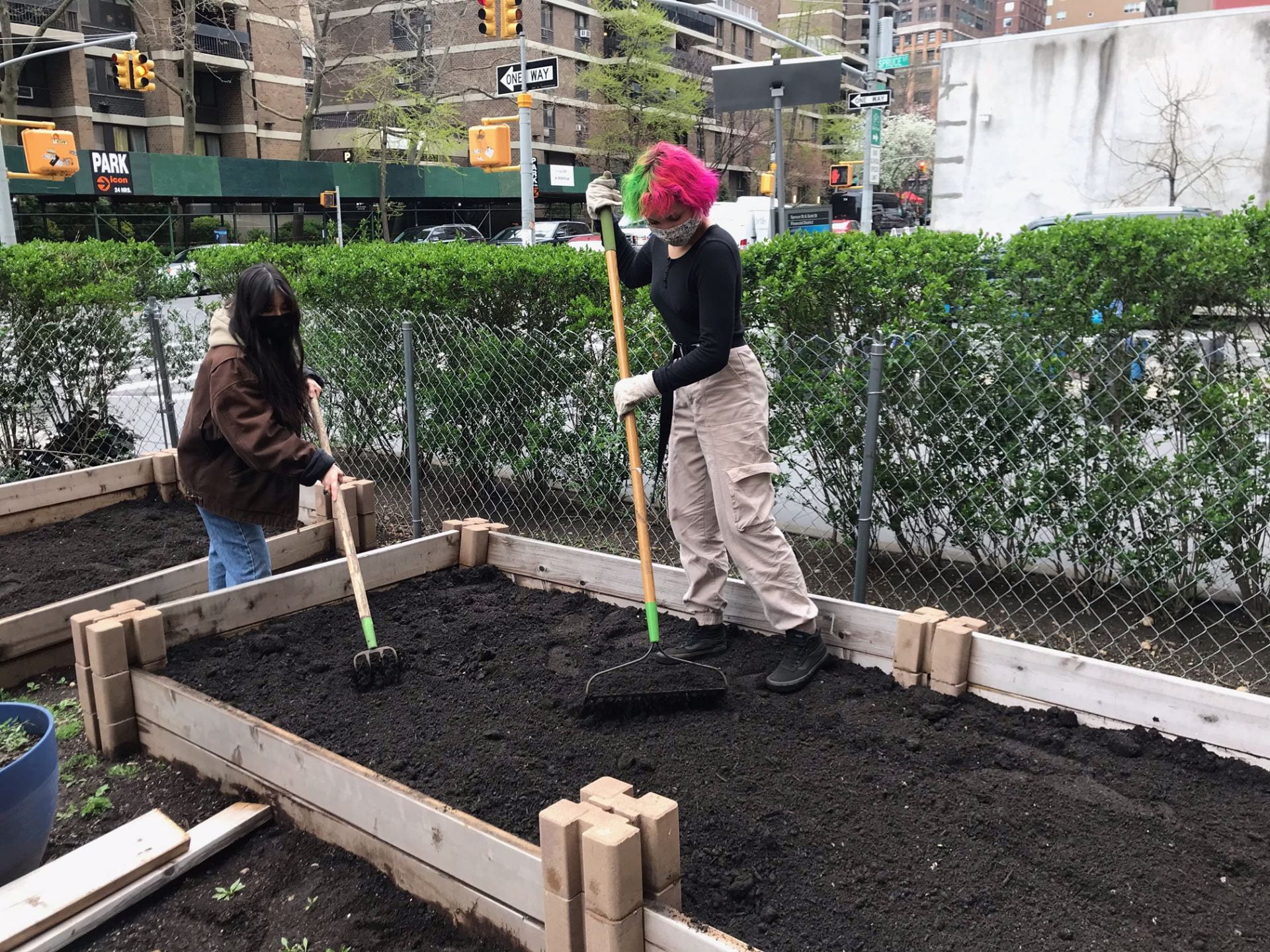 Environmental Studies and Science Pace University