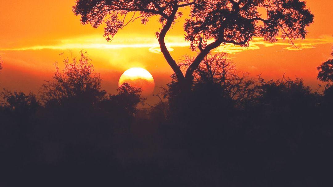 Recettes du Kenya Projet Lunga Lunga Essanzia