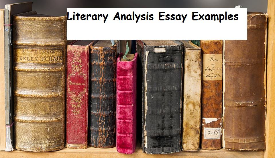 Literary Analysis Essay Example 20 Insightful Examples