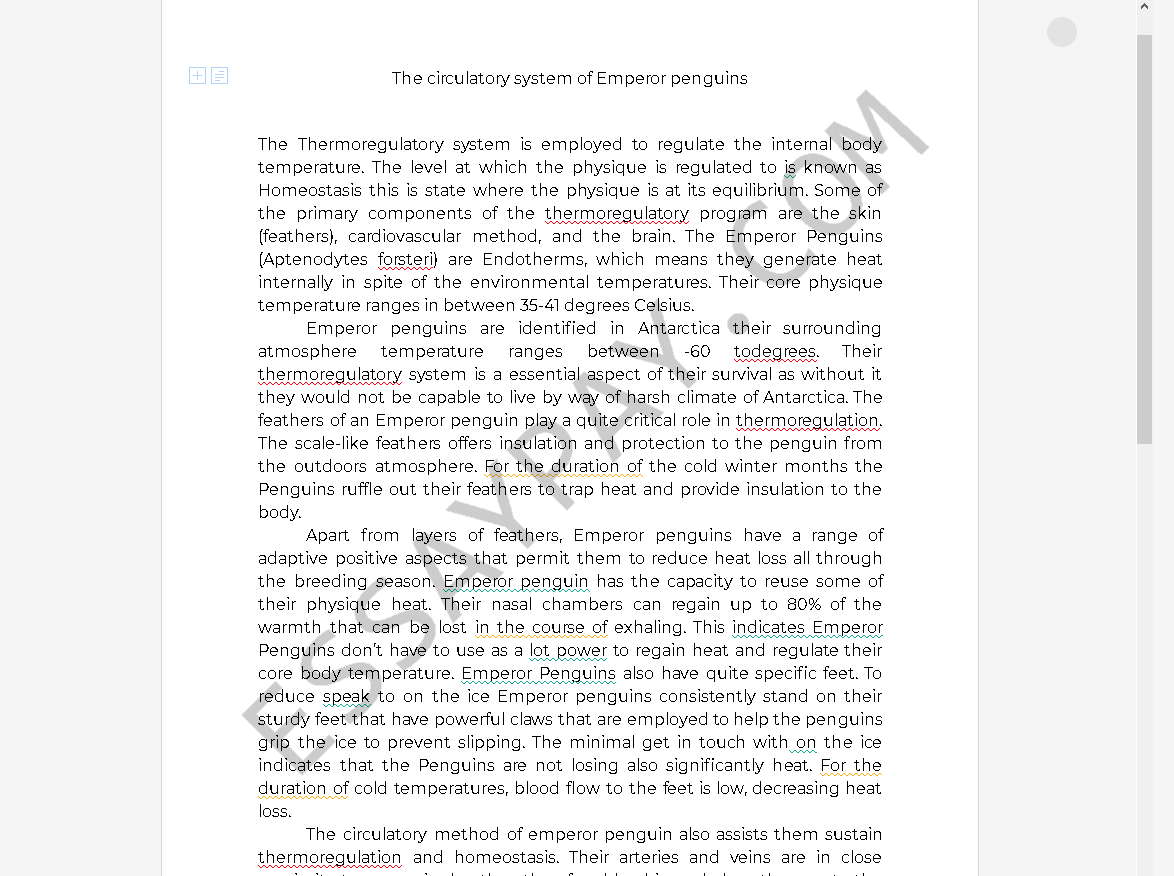 The circulatory system of Emperor penguins [Essay Example], 551 words