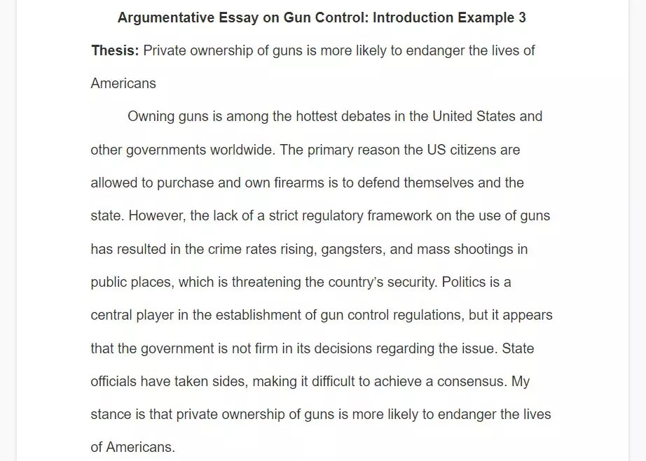 Gun Control Essay Detailed Writing Guide with Examples