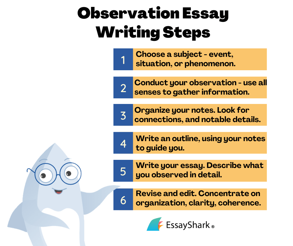 How to Write an Observation Essay Writing Steps, Sample and Tips
