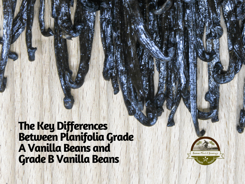 Differences Between Planifolia Grade A and B Vanilla Beans EF&B