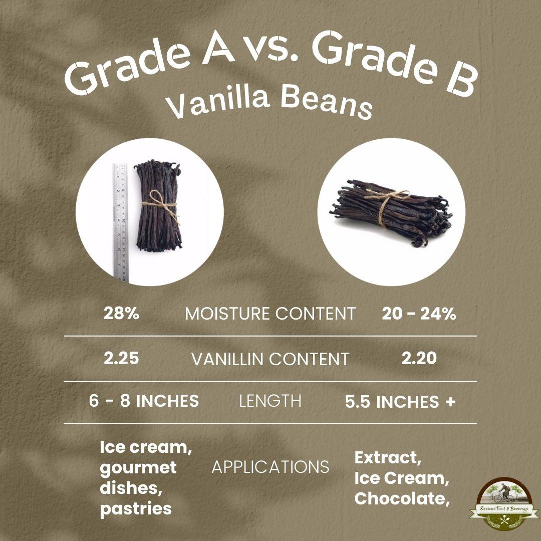 Differences Between Planifolia Grade A and B Vanilla Beans EF&B