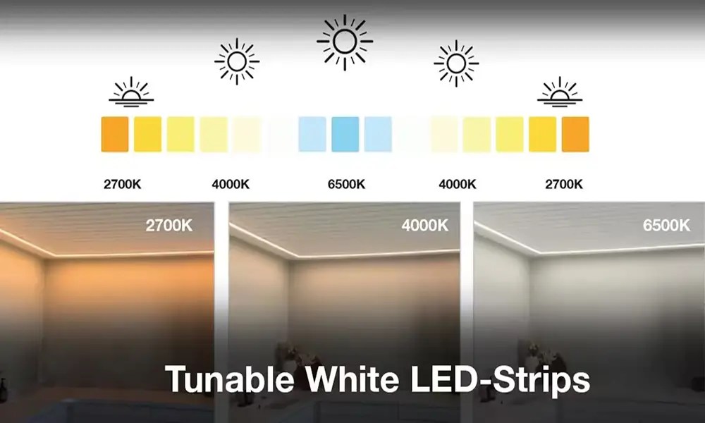 A Complete Guide to Tunable White LED Strip Lights Essenled Lighting