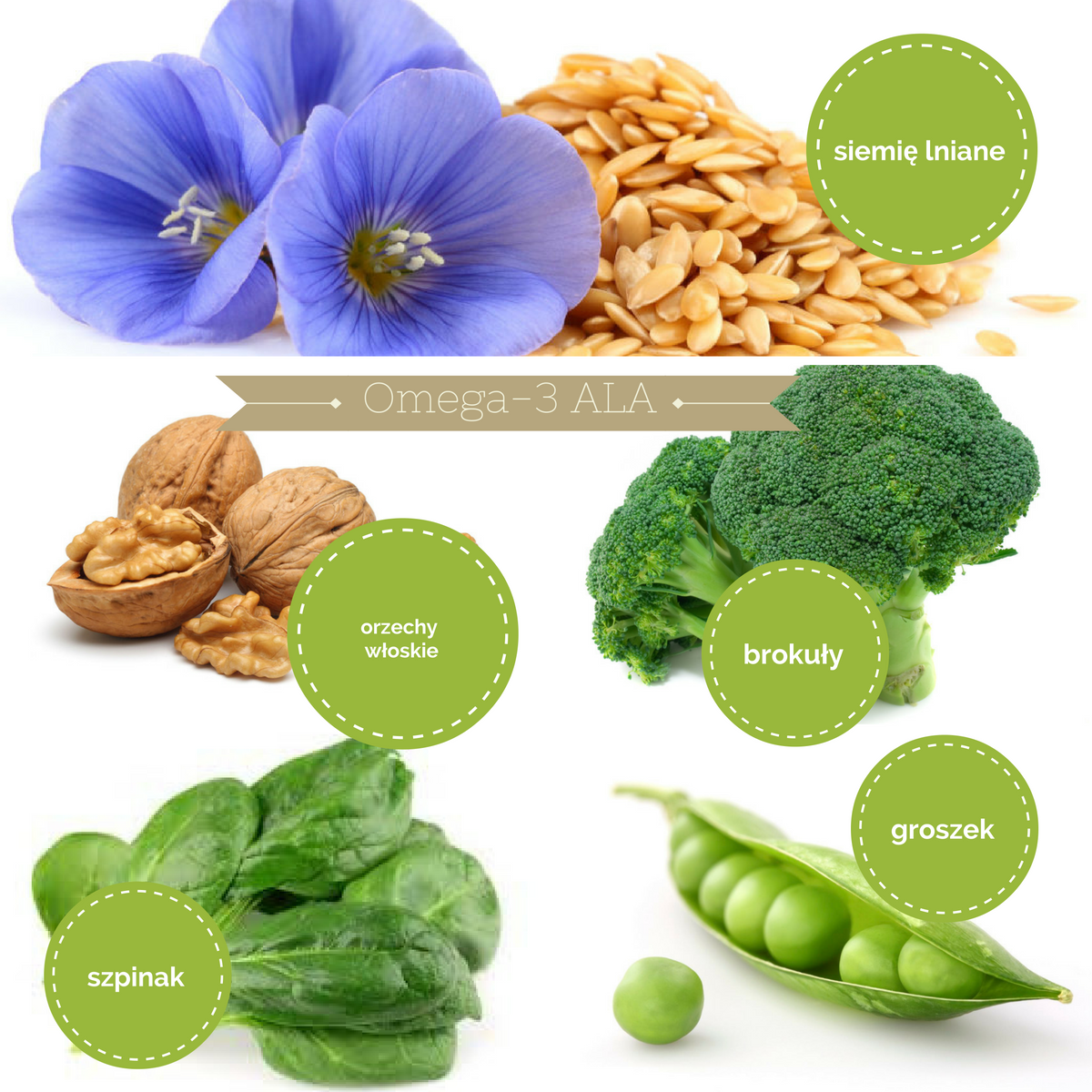 Czym różnią się kwasy omega 3 ALA od DHA i EPA? Essentiala3.pl