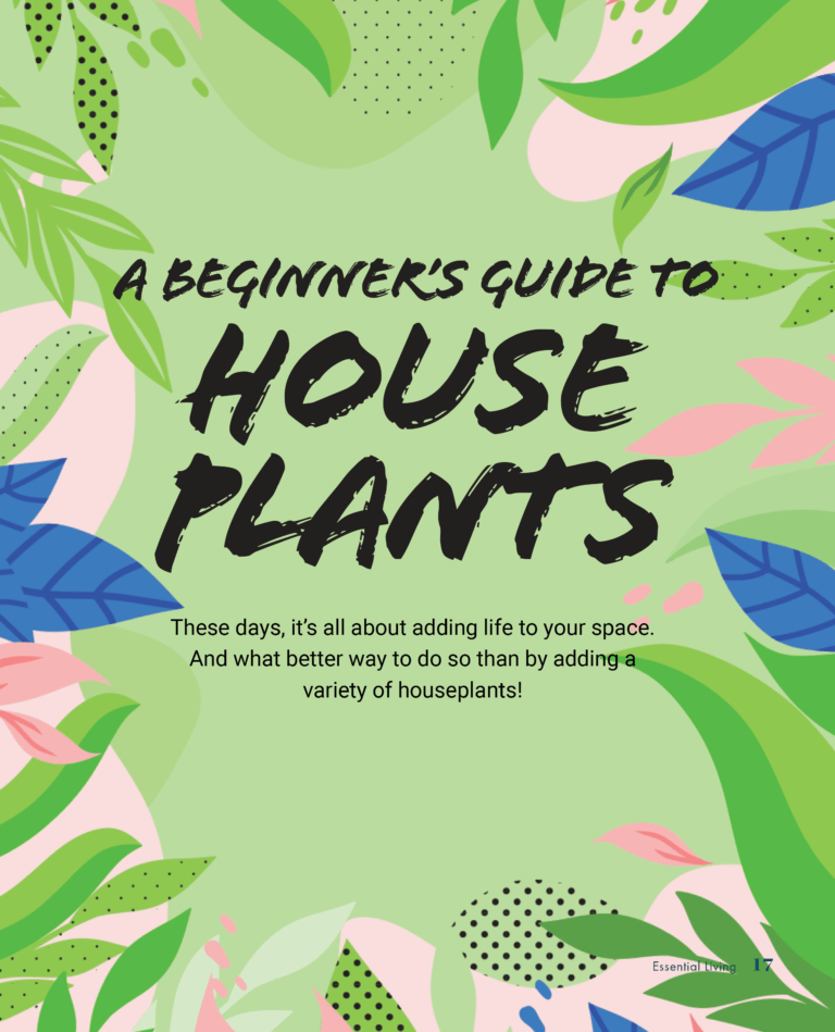 Essential Living personally branded magazine Essential Engine