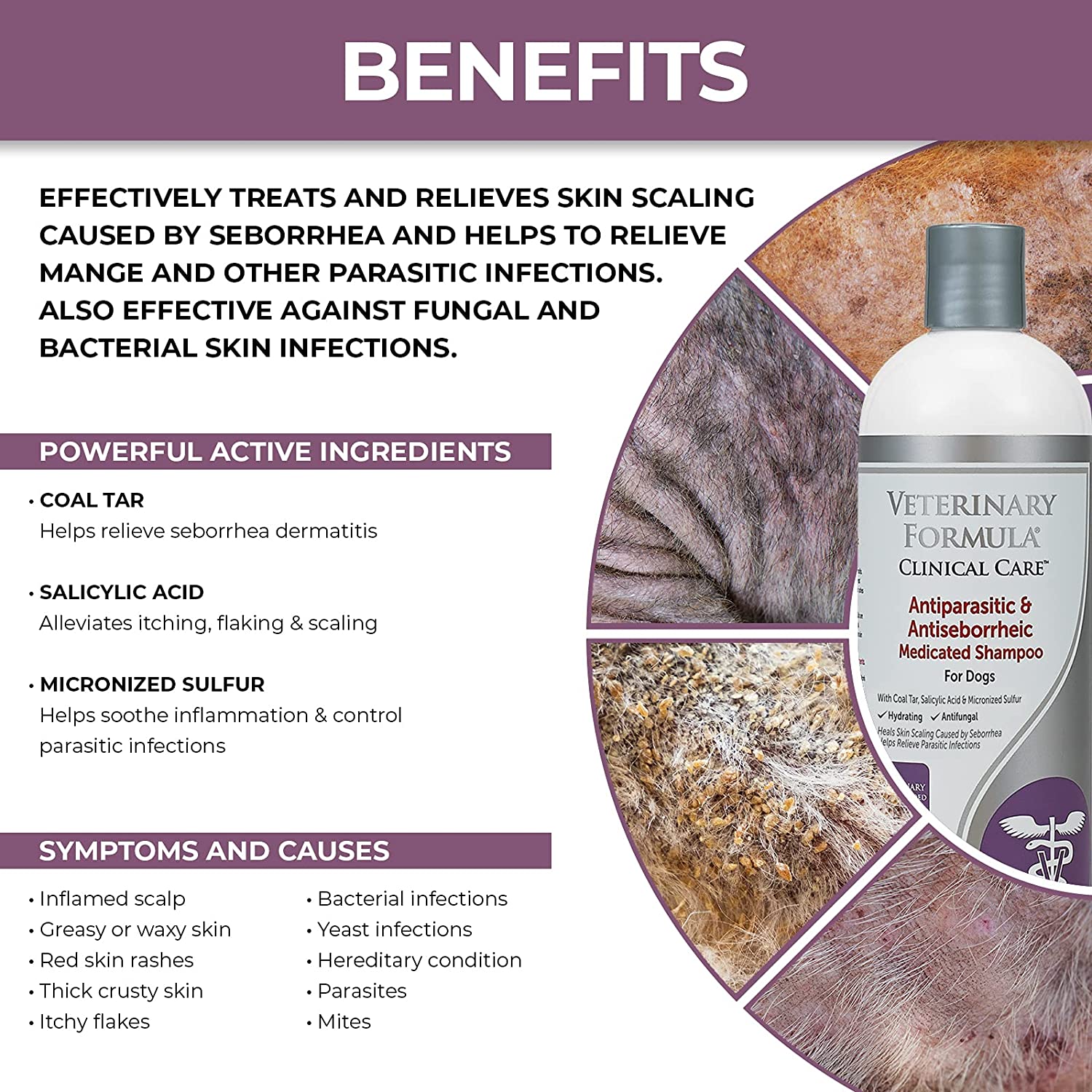 Veterinary Formula Antiparasitic & Antiseborrheic Medicated Dog Shampoo