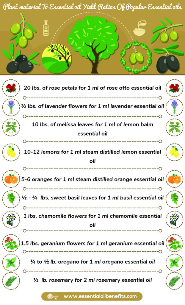 How to Make Essential Oils? Essential Oil Benefits