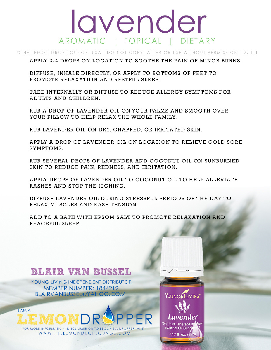 Lavender Essential Oil Essential Oil Information from a So Cal Momma
