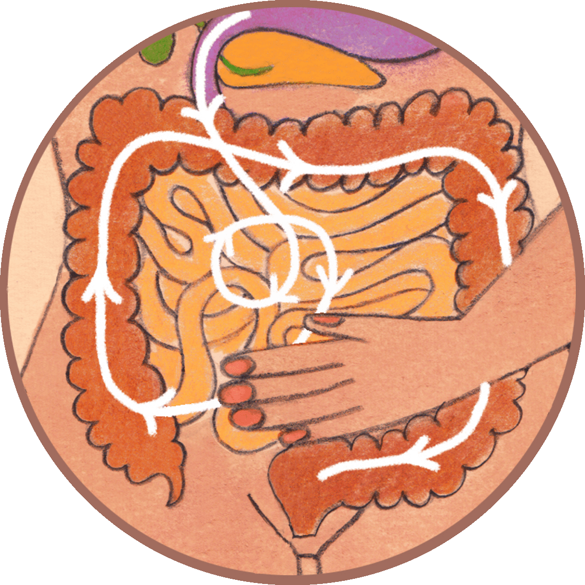 Digestive Massage with Essential Oils Essential Oils and You