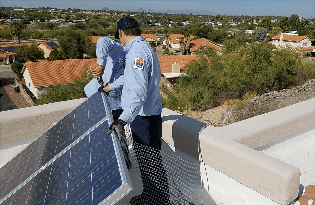 Pigeon Removal Tucson Essential Pest Control