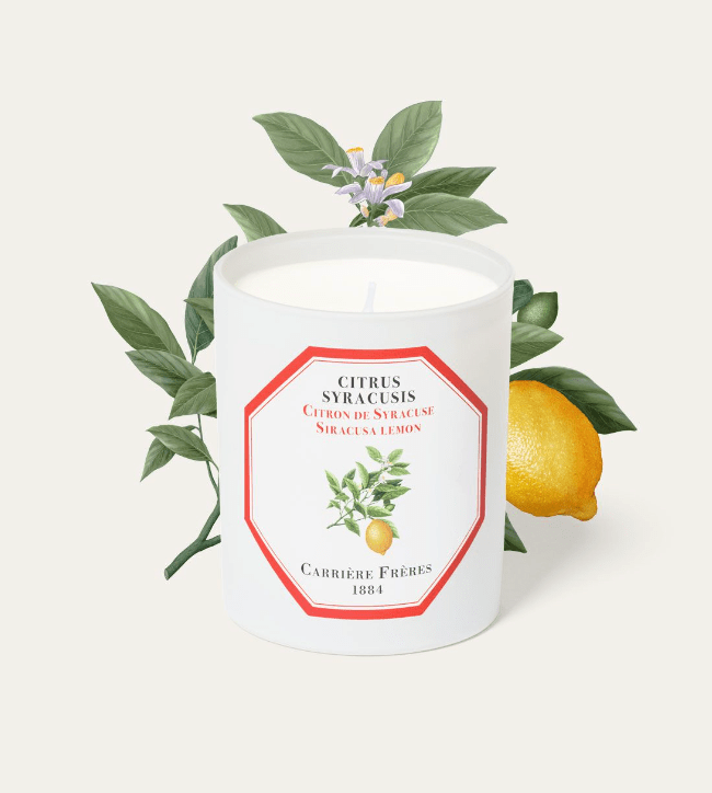 French Scented Candles Essential Southeast Seattle