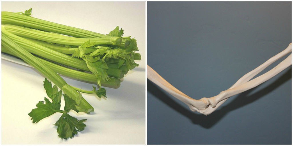 Foods That Resemble Body Parts They Benefit Guide to the Body's