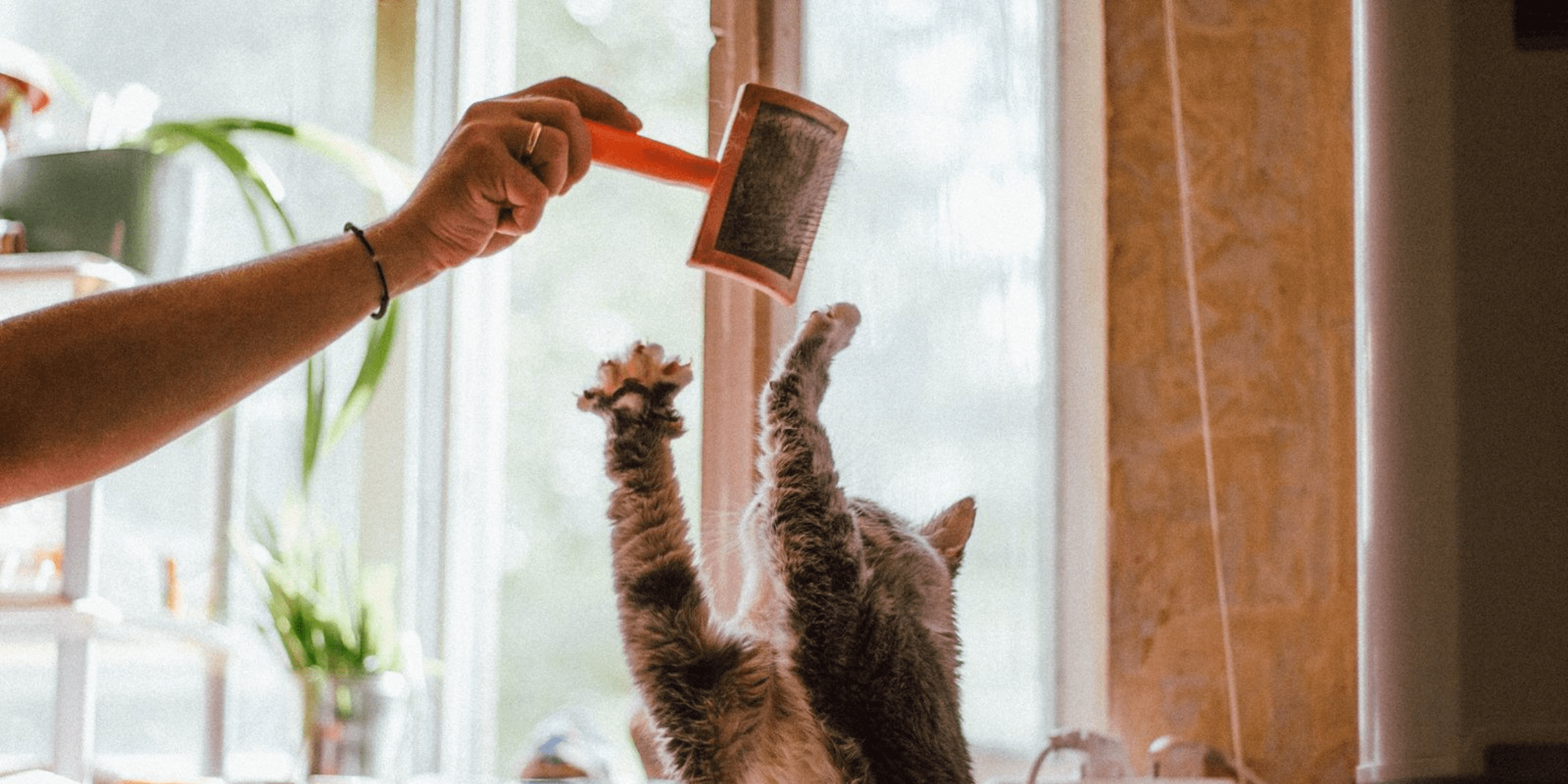 Published November 9, 2020