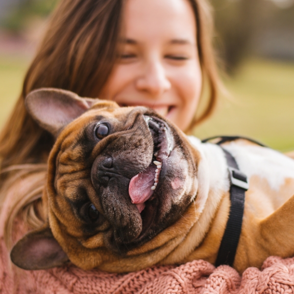 Affordable Veterinary Clinic Essentials PetCare