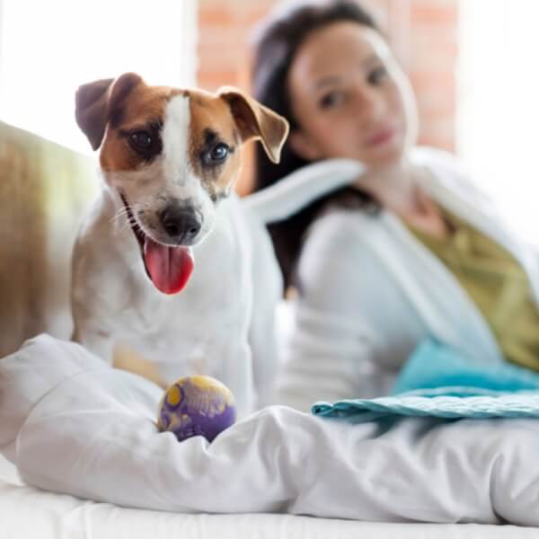 Affordable Veterinary Clinic Essentials PetCare