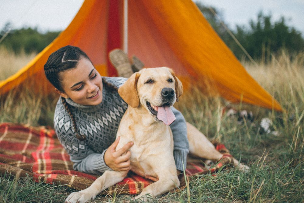Camping with a Dog? What to Know So Both of You Have Fun and Stay Safe