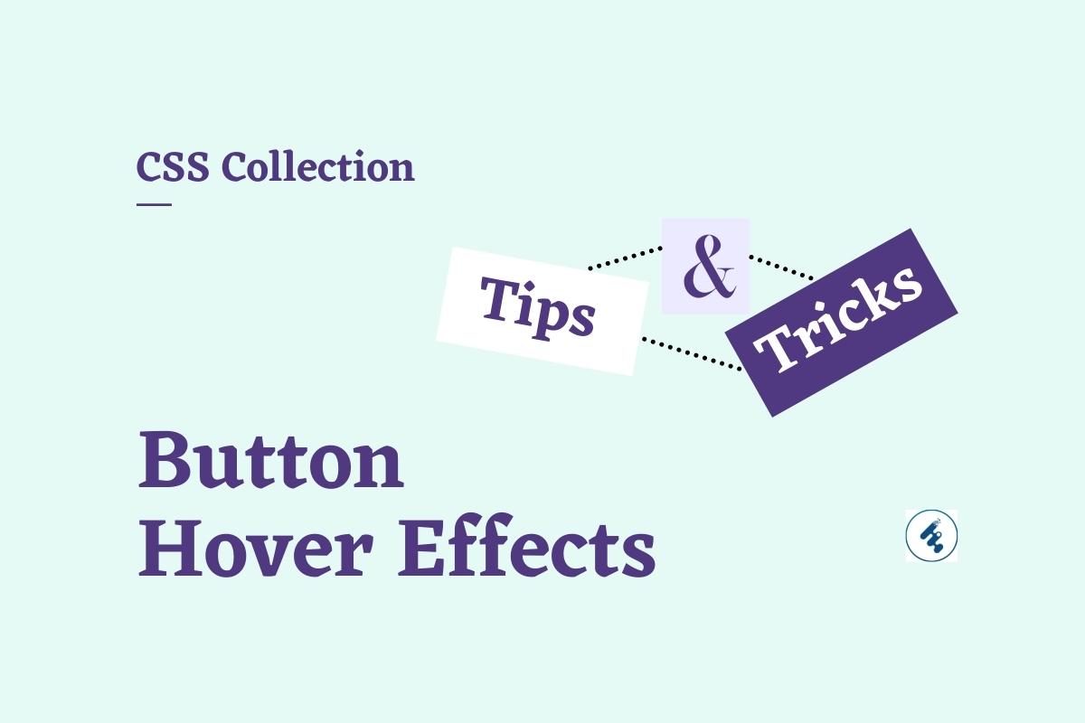 10+ CSS button hover effects (latest collection) Essential  Apps