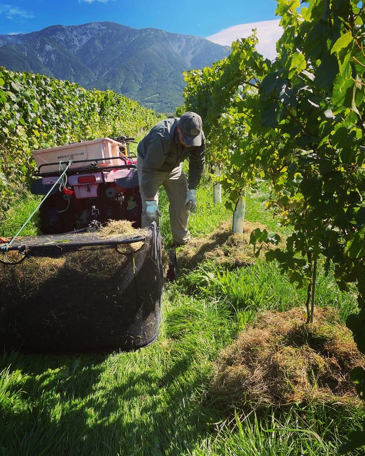 Our Story Esses Wine Company