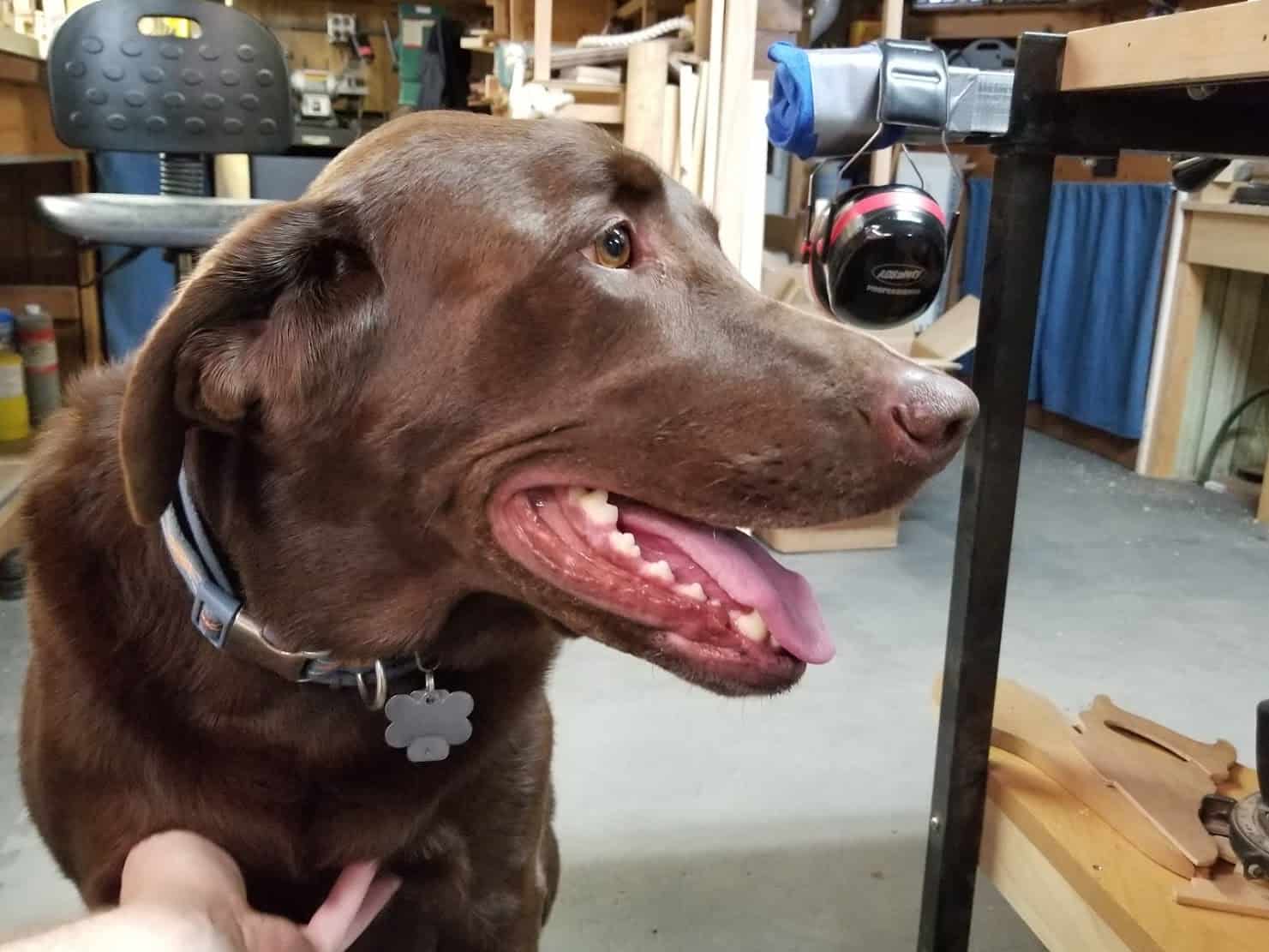 Management Inspections With Benson ES&S Woodworking, LLC