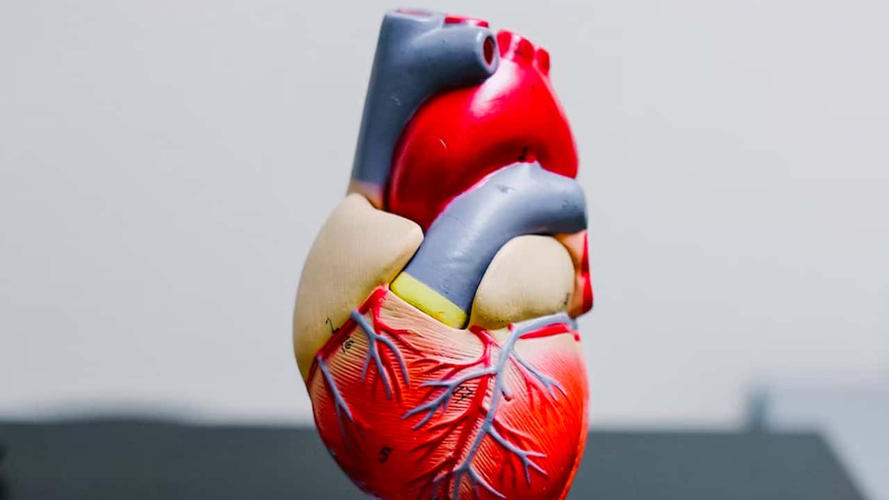 How Can Vegans Have High Cholesterol? Essy Cooks