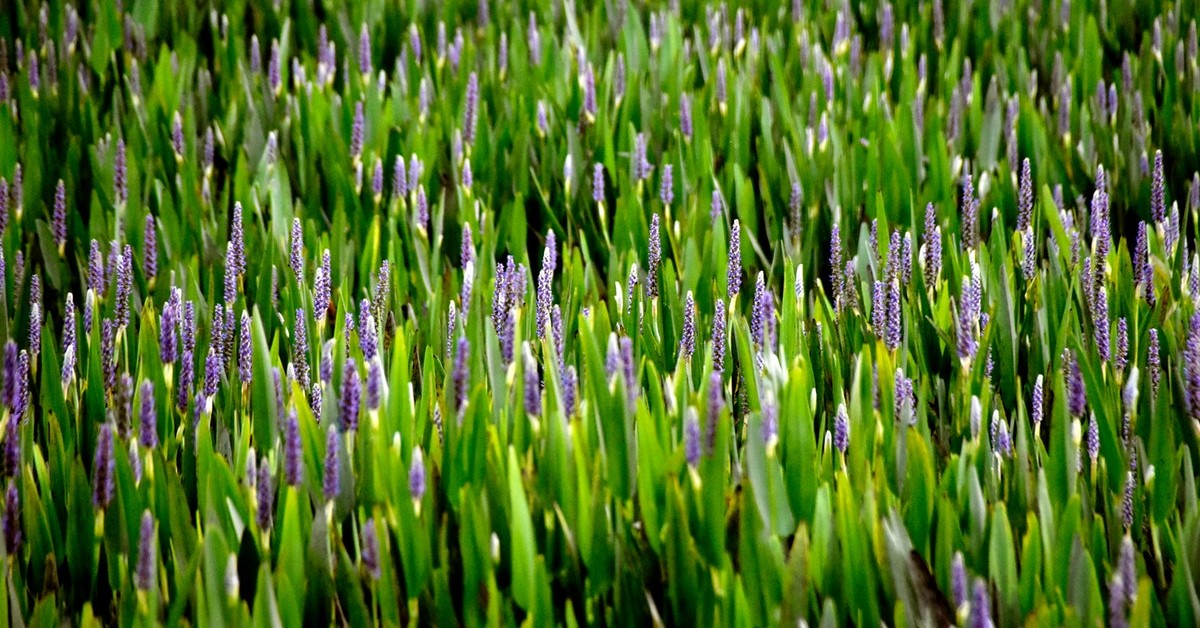 Wellington, FL Movers Established Moving & Storage