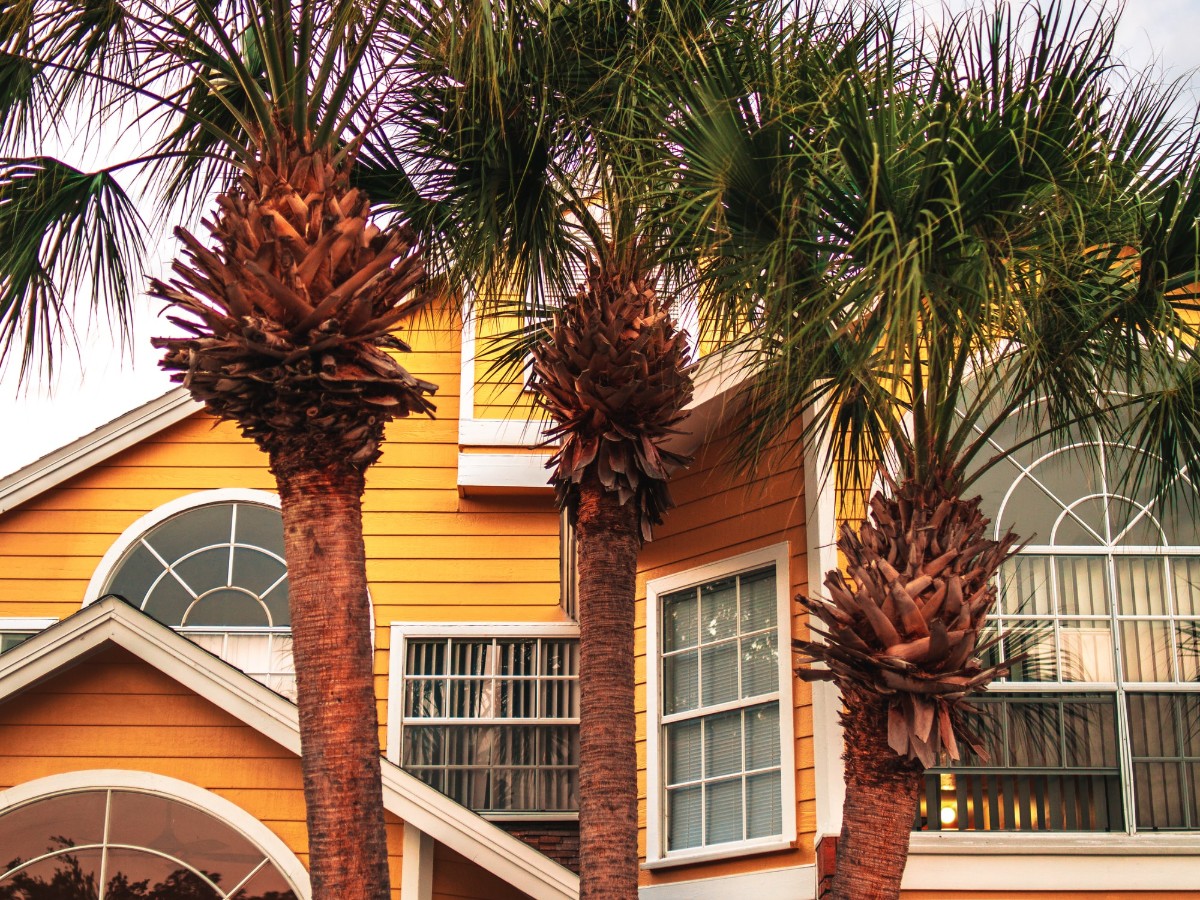 10 Best Neighborhoods for Families in South Florida Established Moving
