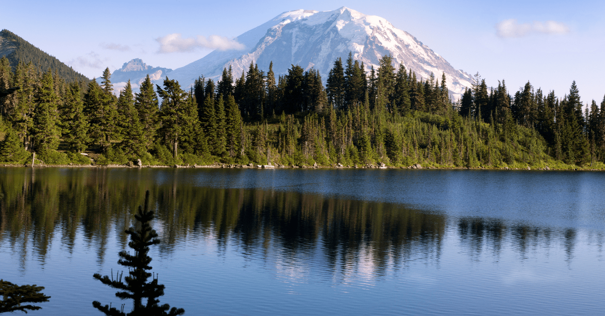 Seattle Nature Guide for Beginners Established Moving