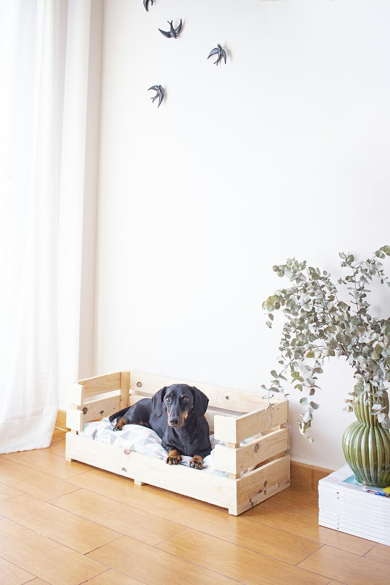 Cómo hacer una cama para tu perro o gato con un jersey Mascotas