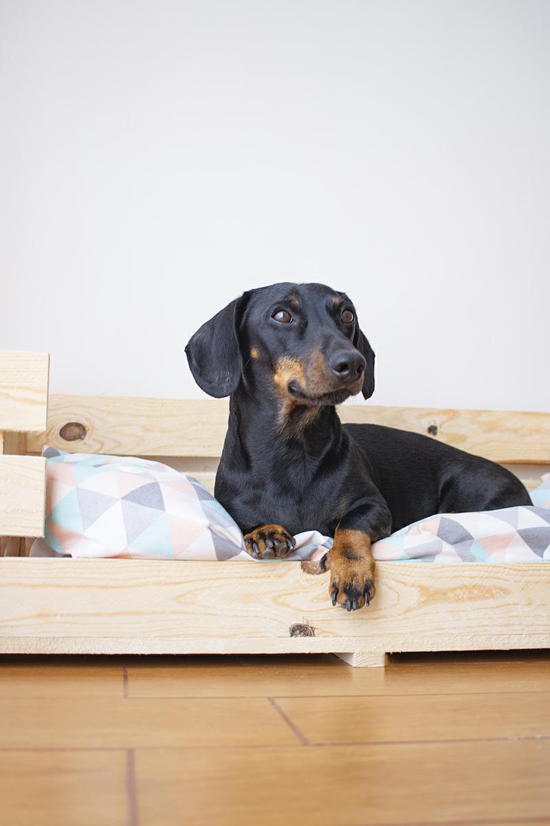 La nueva cama de Sobras hecha con una caja de madera Mascotas