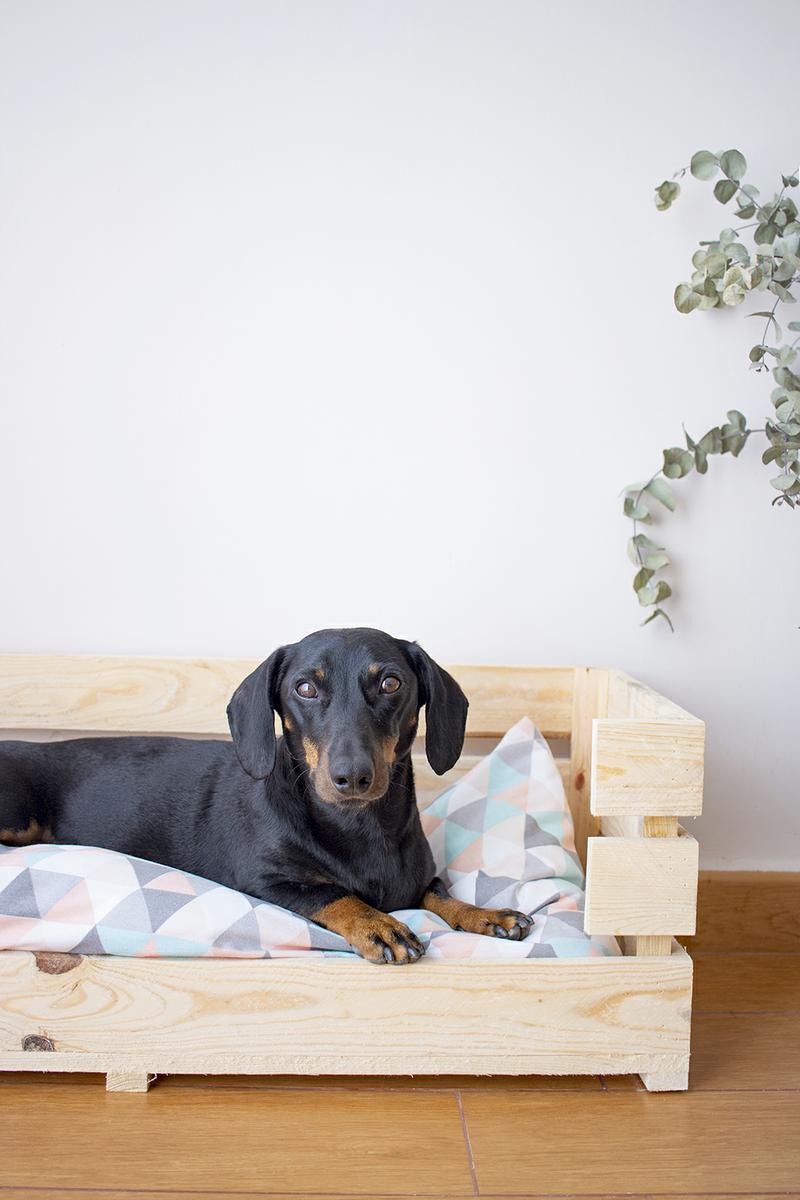 La nueva cama de Sobras hecha con una caja de madera Mascotas