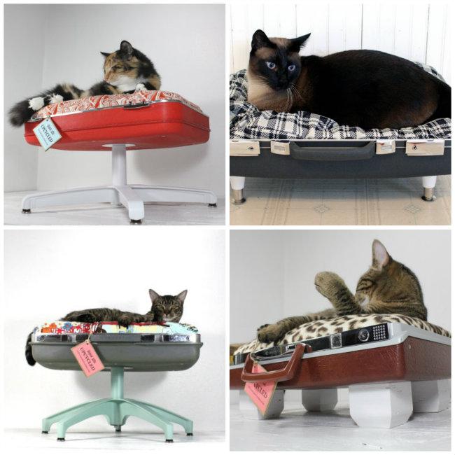 Camas recicladas para gatos Mascotas