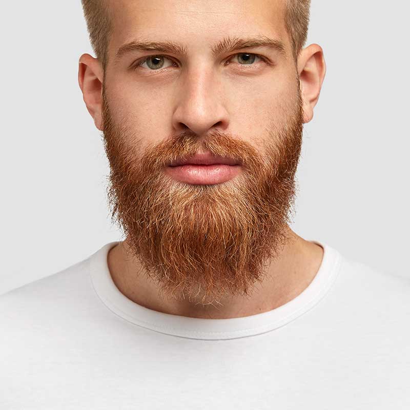 Beard and mustache hair transplant EstaPure