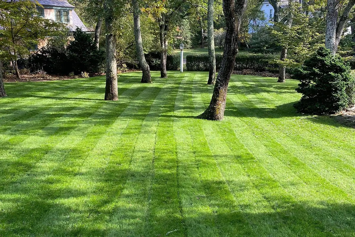 Lawn care services on Martha's Vineyard Estate Care