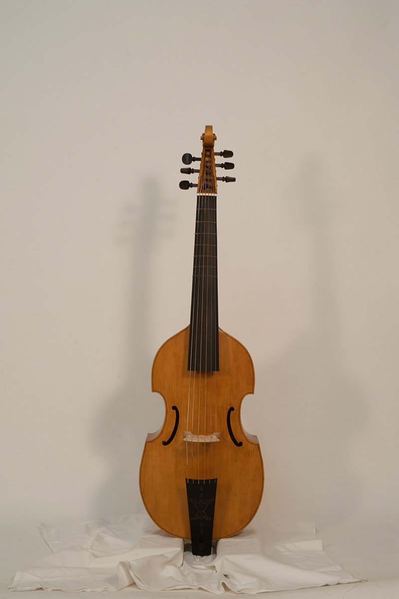 Viola da gamba 6 strings Barak Norman model