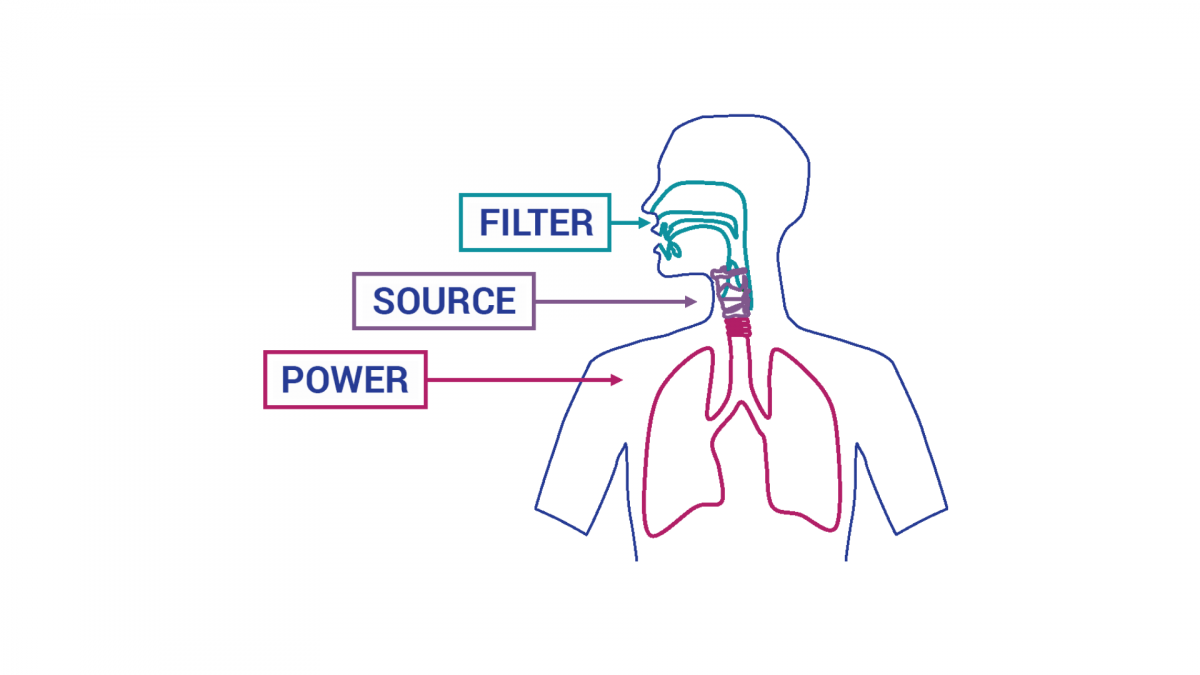 How Does The Voice Work? Estill Voice Training