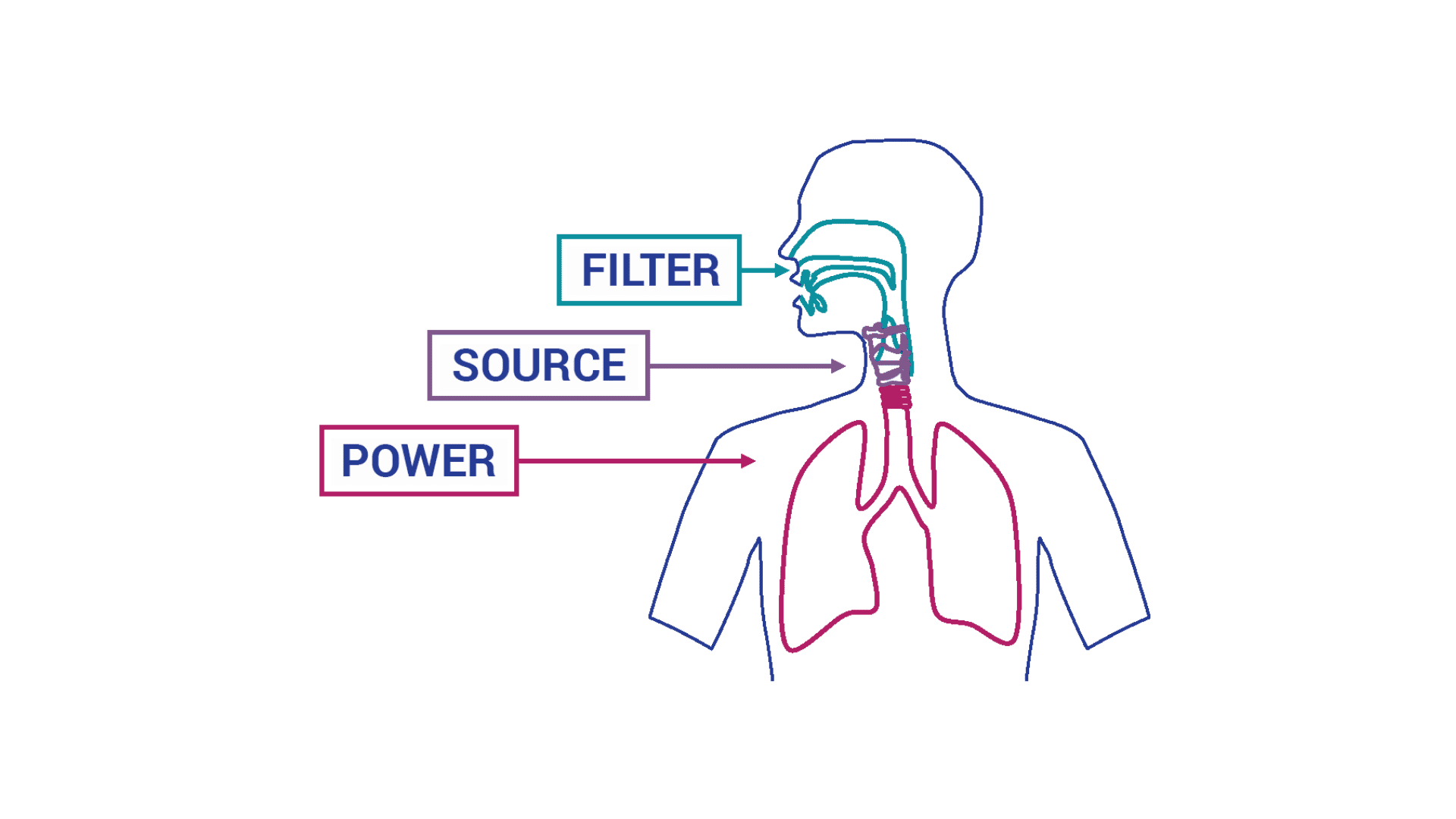 How Does The Voice Work? Estill Voice Training