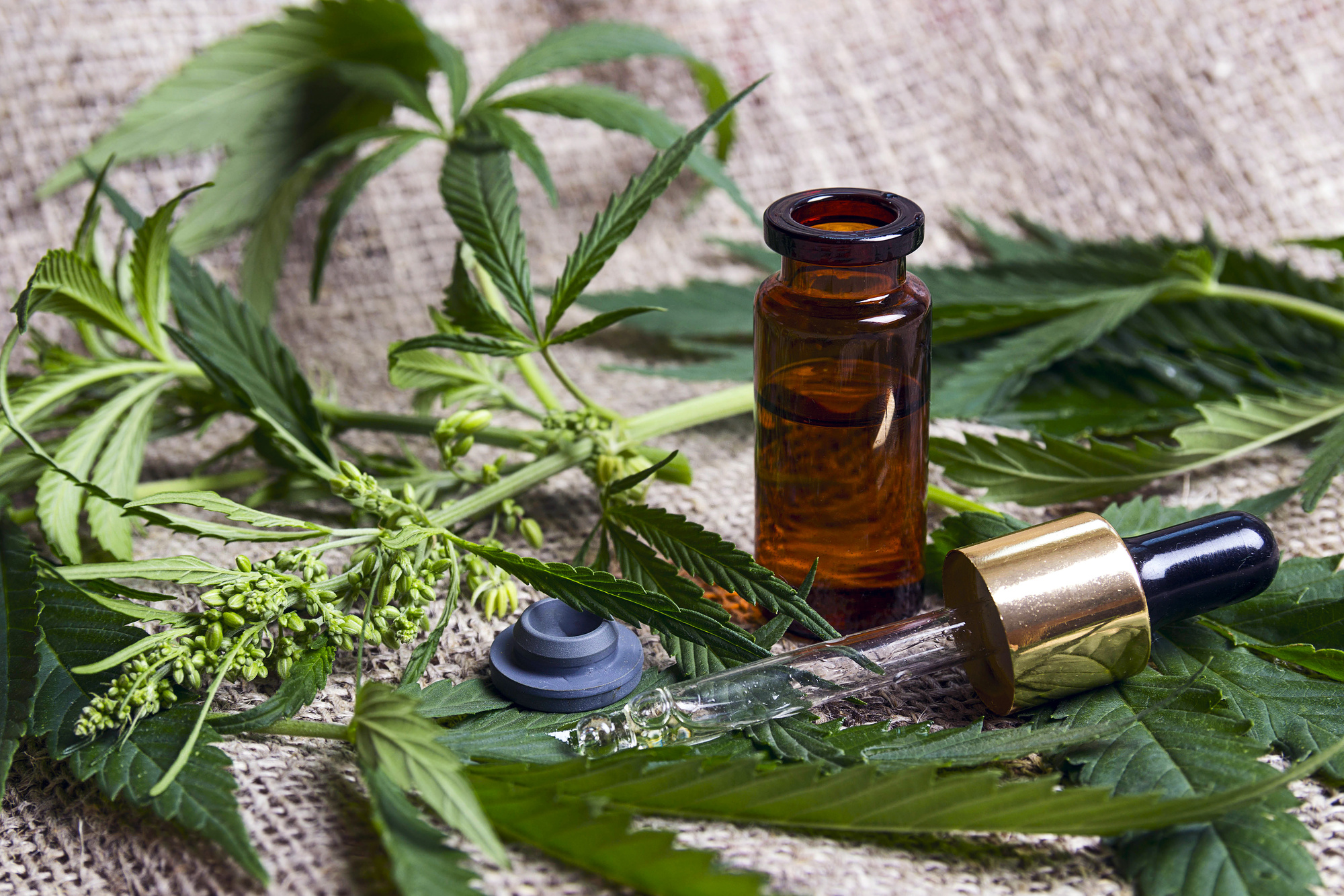 CBD Oil for Skin Can CBD Really Improve Your Skin Health? Estilo