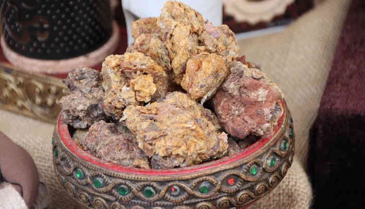 O Que é Mirra? Qual o Significado da Mirra na Bíblia?