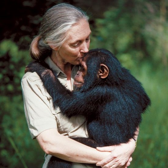 Dame Jane Goodall endorses the Estonianinitiated World Cleanup Day