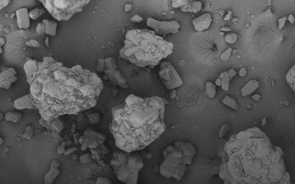 BioHale® Trehalose Dihydrate DFE Pharma Estore