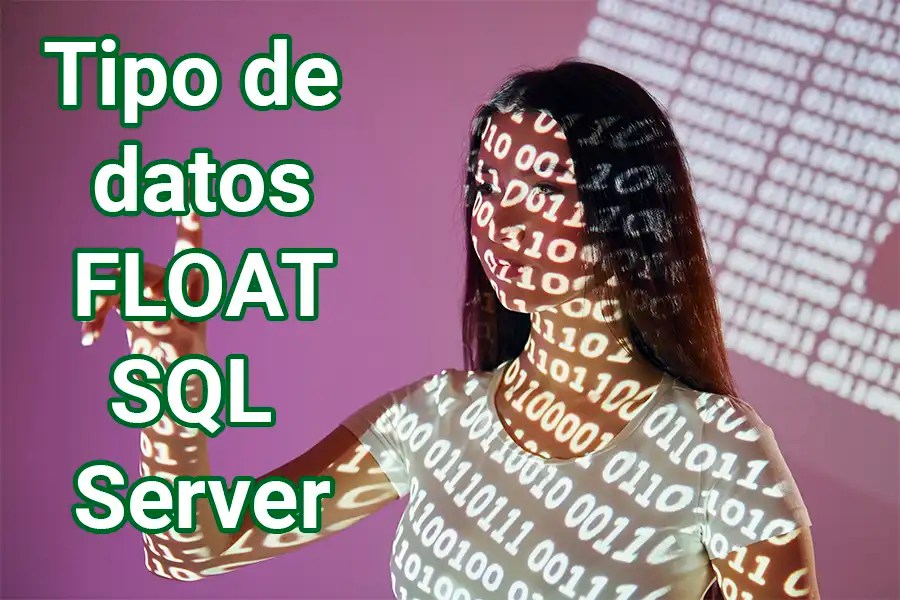 Tipo de datos Float y Real de SQL Server Estrada  Group