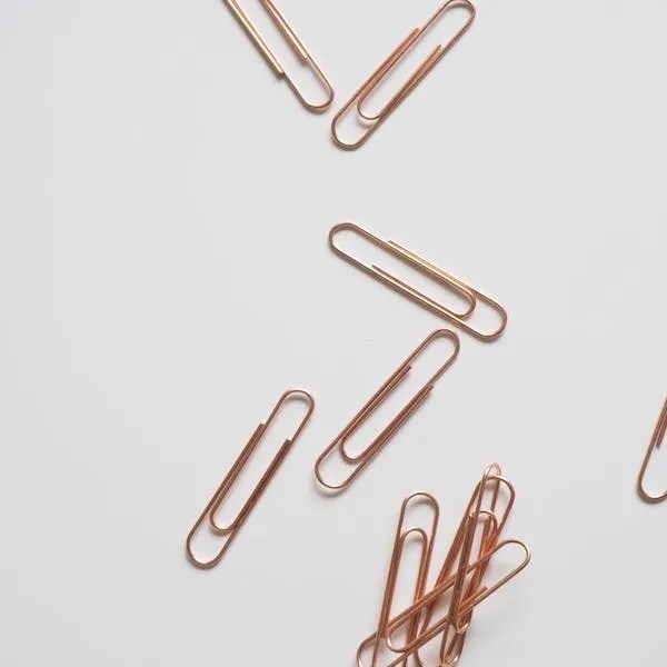 O que Significa clipe de papel