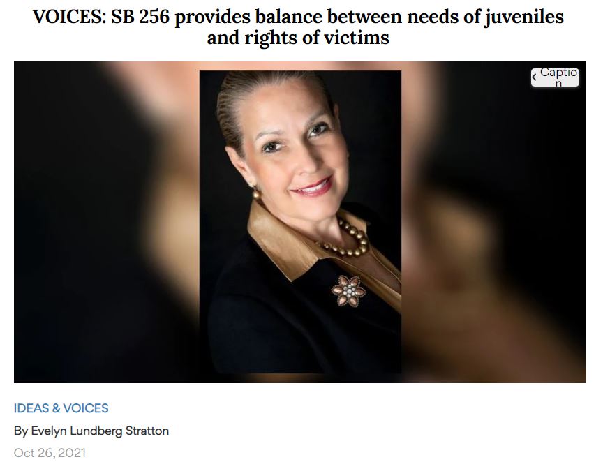 Retired Ohio Supreme Court Justice Evelyn Lundberg Stratton Ohio SB