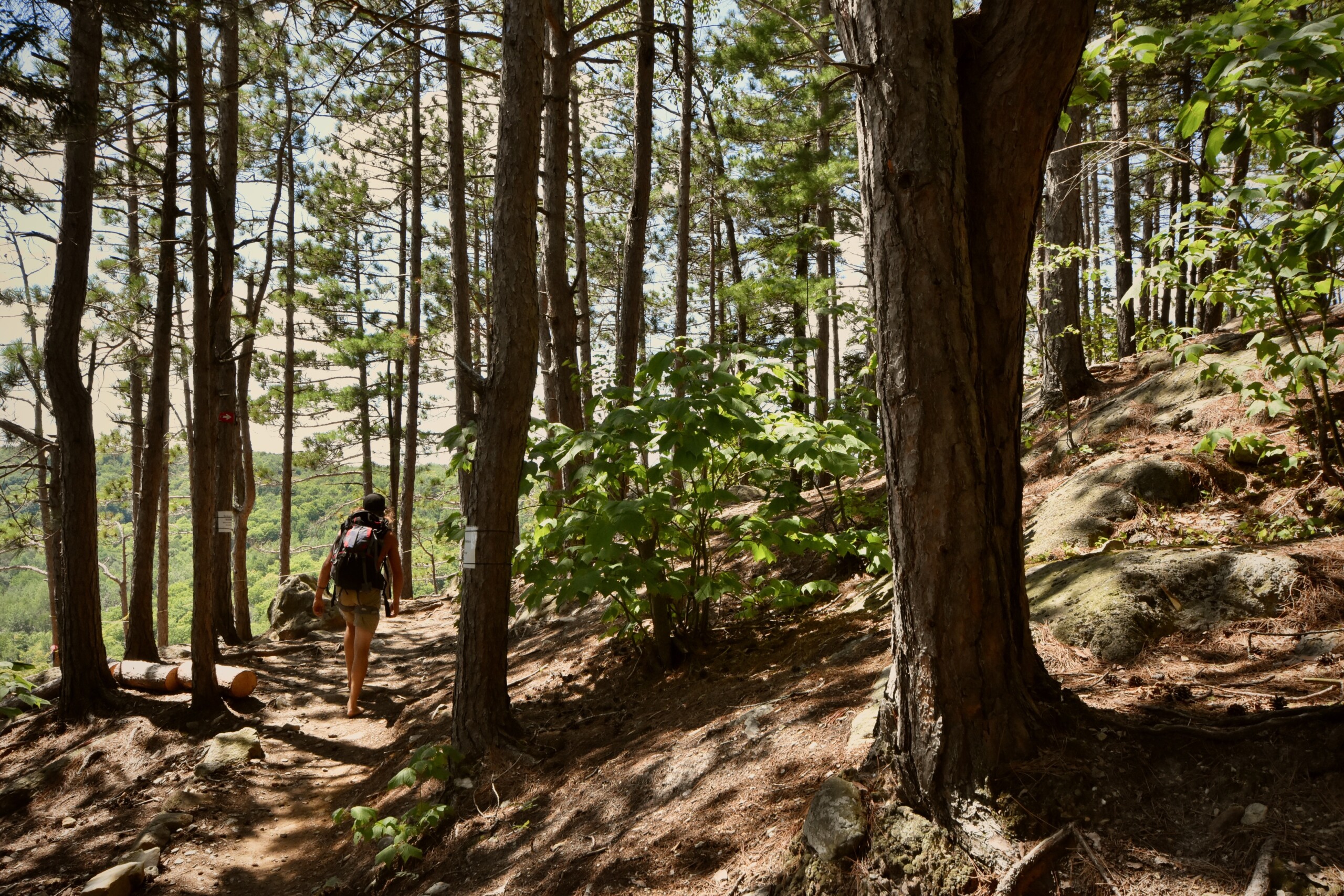 SaintFrançoisXavierdeBrompton — Estrie Cantonsdel'Est