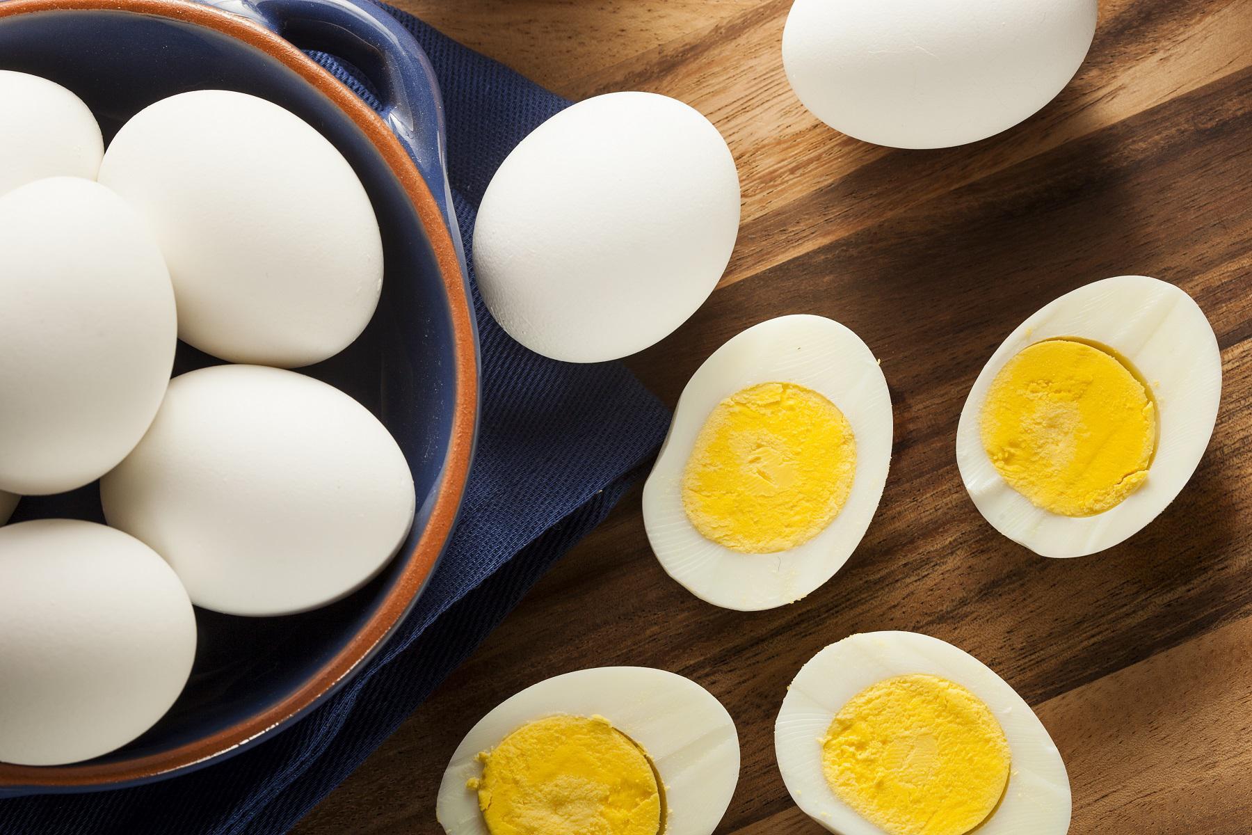 Can eating eggs help you lose weight? Estroden